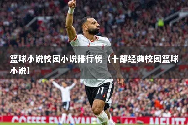 篮球小说校园小说排行榜（十部经典校园篮球小说）