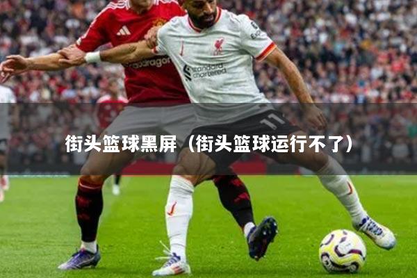 街头篮球黑屏（街头篮球运行不了）