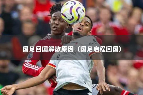 国足回国解散原因（国足启程回国）