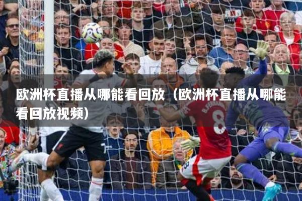 欧洲杯直播从哪能看回放(欧洲杯直播从哪能看回放视频)