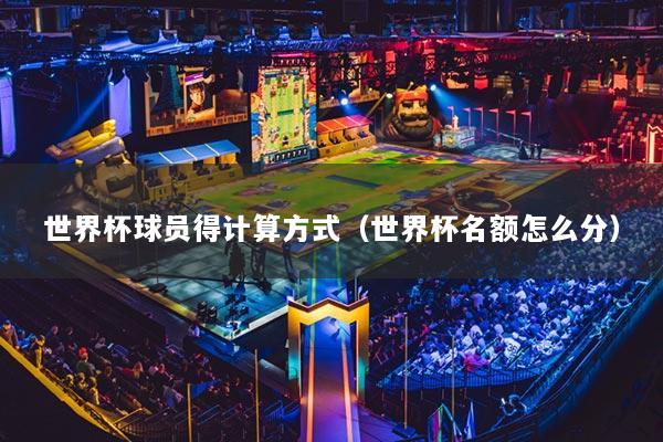 世界杯球员得计算方式(世界杯名额怎么分)