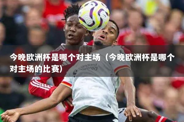 今晚欧洲杯是哪个对主场（今晚欧洲杯是哪个对主场的比赛）
