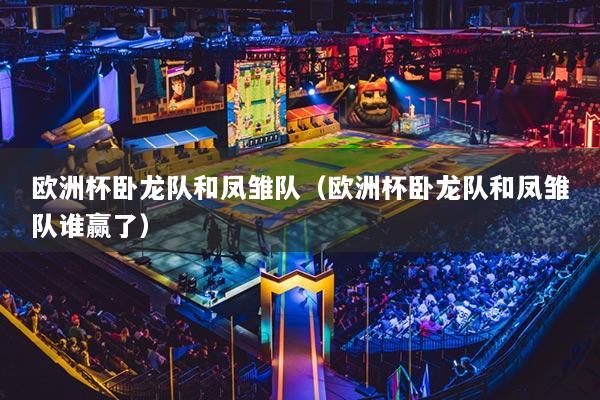 欧洲杯卧龙队和凤雏队（欧洲杯卧龙队和凤雏队谁赢了）