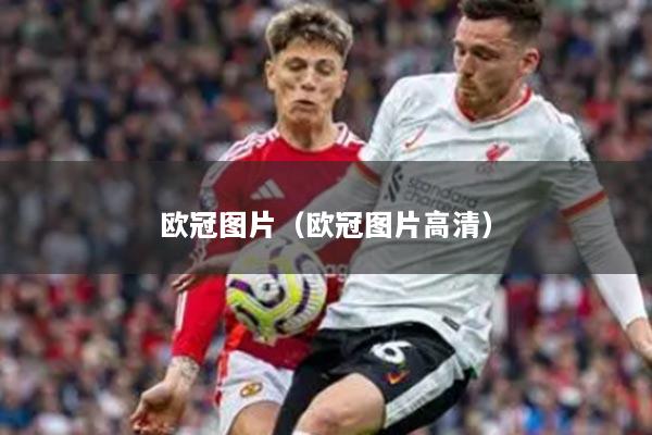 欧冠图片（欧冠图片高清）