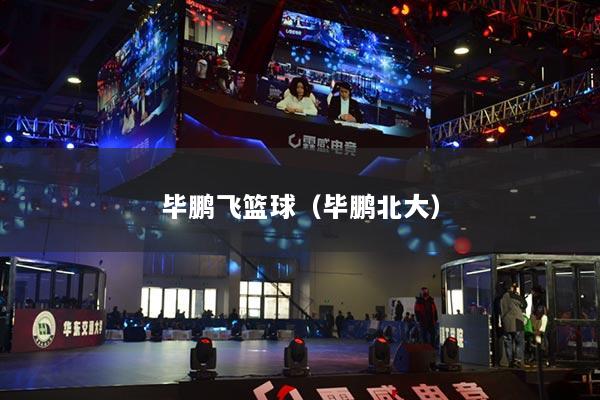 毕鹏飞篮球（毕鹏北大）