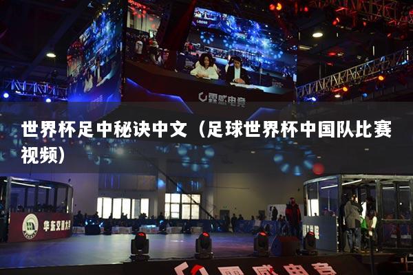 世界杯足中秘诀中文（足球世界杯中国队比赛视频）