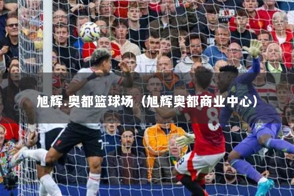 旭辉.奥都篮球场（旭辉奥都商业中心）