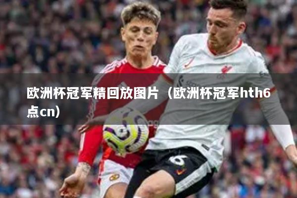 欧洲杯冠军精回放图片（欧洲杯冠军hth6点cn）