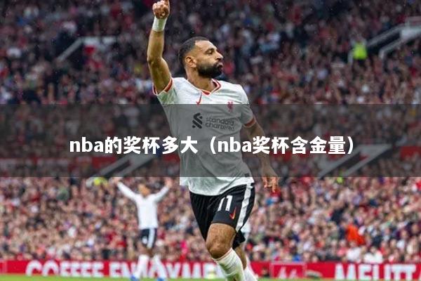 nba的奖杯多大（nba奖杯含金量）