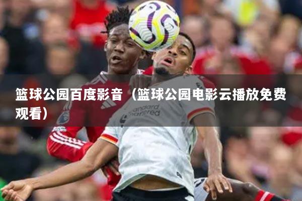 篮球公园百度影音（篮球公园电影云播放免费观看）