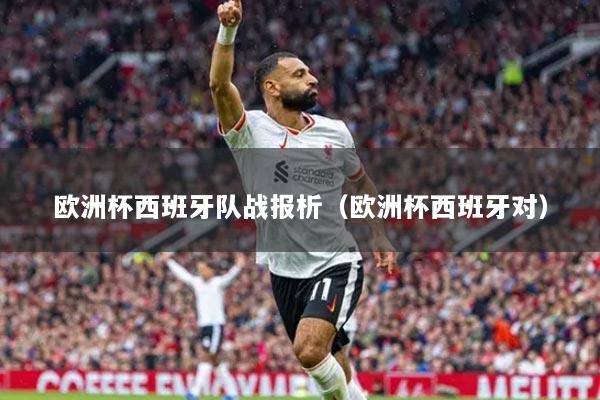 欧洲杯西班牙队战报析（欧洲杯西班牙对）